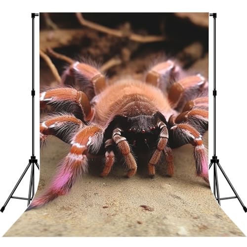 Large Mexican Pink Tarantula Backdrop Background for Photography 5x7ft Photobooth Professional Photo Backdrop Curtains Video Photography Studio Photo Backgrounds Banner Booth Background Screen Parties - color: Large Mexican Pink Tarantula