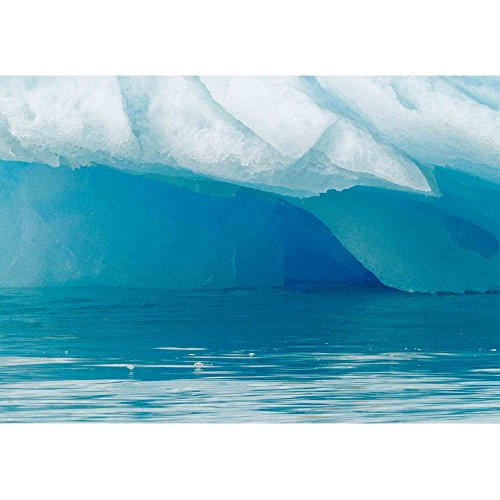 wall26 - Polar Bear at Svalbards Islands, Norway - Removable Wall Mural | Self-Adhesive Large Wallpaper - 66x96 inches - color: Artwork - 05, size: 66"x96"