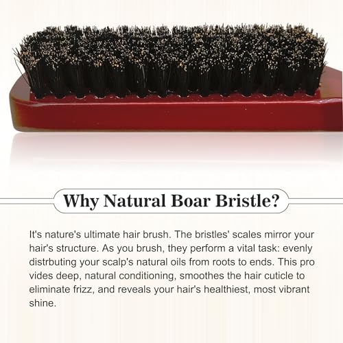 SUNBIRD Slick Back Hair Brush Boar Bristle - Smoothing Hair Brush For Women, Men Beard Styling, Soft & Medium Bristles, For Fine Hair Anti-Frizz, Sleek Polished Hairstyles