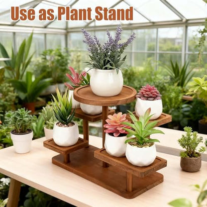 Jewelry Stand, Wooden Tiered Display Rack, Earring Storage Organizer Display Shelves Collectible, Perfume Bracelet Trays for Crafts Sales, Gifts(Brown) - color: Brown