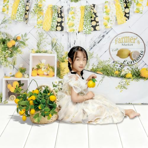 Kate Photography Floor Mats White Wood Floor Mat for Photo Studio 5x4ft - color: White Wood 3, size: 5x4ft