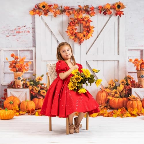 Kate Photography Floor Mats Backdrops White Wood Floor Drops Newborn Photography Props Background Rubber Flooring Mat for Photo Studio Props 8x5ft - color: White Wood 2, size: 8x5ft