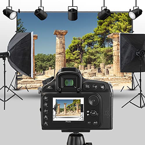 5x3ft Antique Greece Sanctuary Pillar Photography Backdrop Ancient Greek Ruins Olympia Historic Building Column Photo Background Travel Photo Booth Props NBK08021