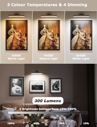 Skairipa Wireless Picture Light with Remote, Battery Operated Wall Sconce 5000mAh, 3 Color Modes and Dimmable LED Wall Lights with Timer for Painting, Frame, Gallery, Dartboard, Bedroom (Black-2Pack) - color: Black, size: 2Pack-13in