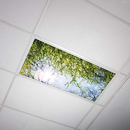 OCTO LIGHTS Tree Fluorescent Light Covers 2x4 Fixtures (22.38" x 46.5") Ceiling Light Cover for Classroom and Office, Decorative Light Covers for Ceiling Lights, Office Light Covers - (Pack of 1) - color: Evergreen Ash Tree, size: 1pk