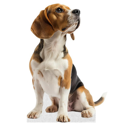 Dog - Beagle - Life Size Cardboard Cutout Standup People with Support Standee | Animals - - color: Dog - Beagle