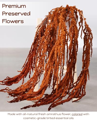 10Pcs Brown Preserved Hanging Amaranthus Flowers - 23" Cascading Dried Flower Tassels for Boho Wedding Arch, Vase Arrangements, Backdrop Installations & Home Decor
