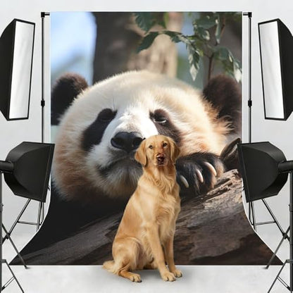 Cute Sleeping Panda Backdrop Background for Photography 5x7ft Photobooth Professional Photo Backdrop Curtains Video Photography Studio Photo Backgrounds Banner Booth Background Screen Parties - color: Cute Sleeping Panda