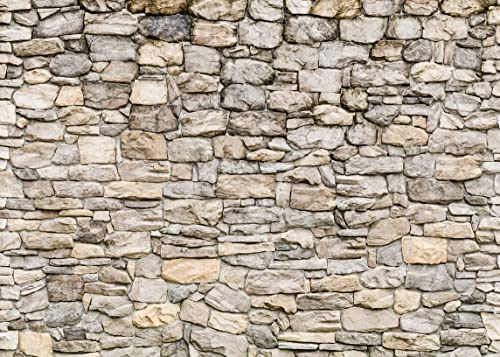 BELECO 15x10ft Fabric Grey Brick Stone Wall Backdrop Rock Stones Video Conference Background Vintage Stone Backdrop Birthday Party Decor Portrait Photoshoot Home Decor Studio Photography Photo Props - size: 15x10FT