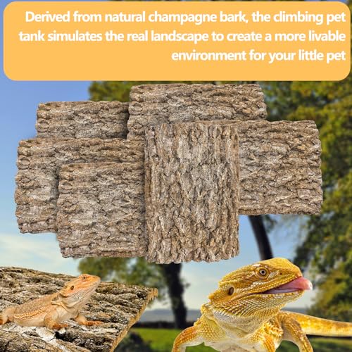 Hamiledyi 6PCS Cork Terrarium Background 15.7x11.8in Natural Large Cork Bark Backdrop Reptile Climbing Mat Tank Habitat Decor for Spider Lizard Chamelon Turtle Beared Dragon - size: 6PCS-15.7x11.8in