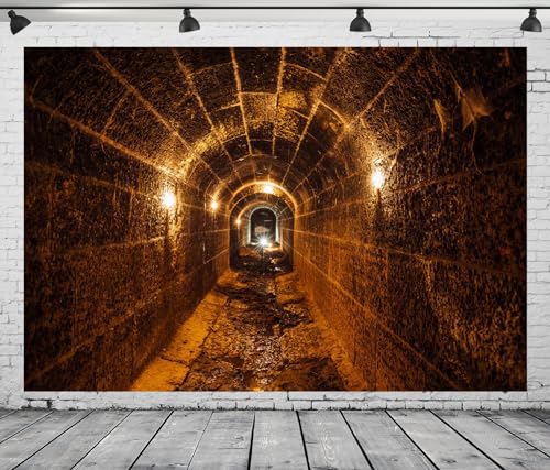 9x6ft Fabric Dark Underground Tunnel Backdrop Creepy Abandoned Tunnel Vintage Brick Stone Wall with Light Background Underground Passage Backdrop Party Decorations Photo Studio Props - size: 9x6FT