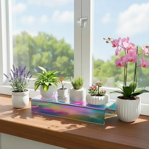 Sezanrpt Acrylic Shelf Riser 12x4.3x2 pack of 2, Iridescent Display Shelf 12” for Shoes, Glasses, Plants, Home Decors, Perfume, 12x4.3x2 Inch - color: Iridescent, size: 12x4.3x2 Inch