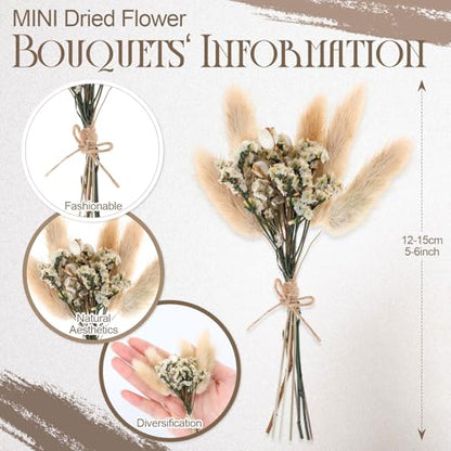 Nuanchu 10 Pcs Mini Dried Flower Bouquet Mixed Natural Dried Flowers with Stem Boho Plant Stem Bunch for DIY Craft Card Home Party Photo Props Wedding Decor, 5 to 6 inches(Boho Styles) - style: Boho Styles