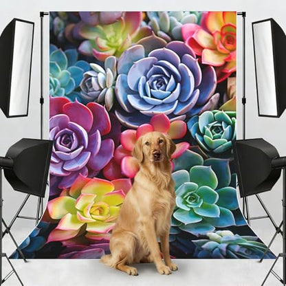 Colorful Succulent Backdrop Background for Photography 5x7ft Photobooth Professional Photo Backdrop Curtains Video Photography Studio Photo Backgrounds Banner Booth Background Screen Parties - color: Colorful Succulent