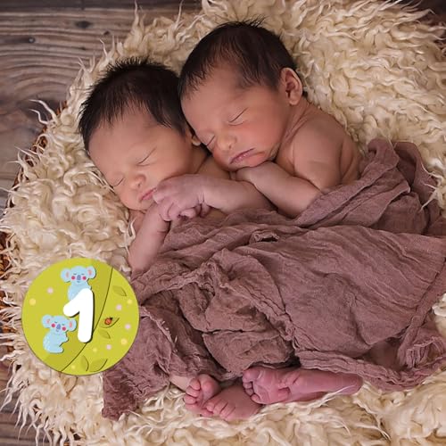 14 Designs Safari Twin Baby Monthly Milestone Cards Sign, 1-12 Months Wooden Photo Props for Twins, Gender-Neutral Twin Baby Shower Cards, Twins Memory Book Essentials (Twins Monthly Milestone) - color: Twins Monthly Milestone
