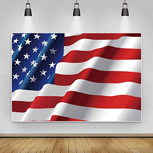 Haoyiyi 10x8ft American Flag Backdrop US Flag Independence Day 4th of July Photography Background Patriotic Party National Labour Veterans Day Celebration Boy Adult Portrait Photo Video Studio Props