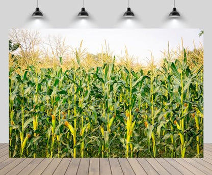 17x10ft Cornfield Backdrop Autumn Green Corn Field Stalks Countryside Corn Farm Harvest Fall Scenery Background Fall Harvest Party Decor Photo Booth Studios Props Wallpaper - size: 17x10FT