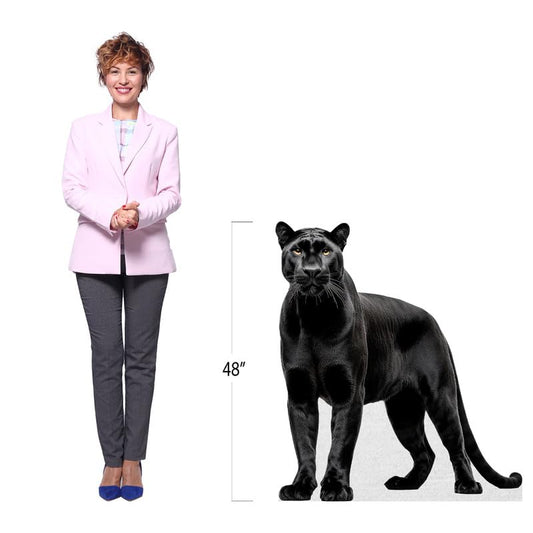 Black Panther - Life Size Cardboard Cutout Standup People with Support Standee | Animals - - color: Black_panther