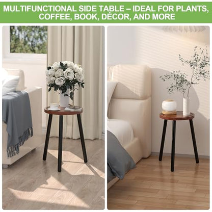 2-Pack Wood Plant Stands Indoor, 16.7" Tall Plant Stand Outdoor Mid-Century Plant Stool, Single Plant Table Modern Small Round Side/End Table for Living Room, Balcony, Office(Brown) - color: Brown Tray with Black Legs-2Pack