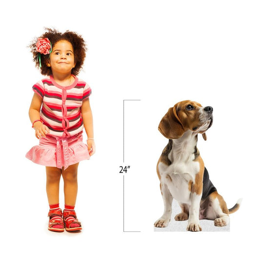 Dog - Beagle - Life Size Cardboard Cutout Standup People with Support Standee | Animals - - color: Dog - Beagle