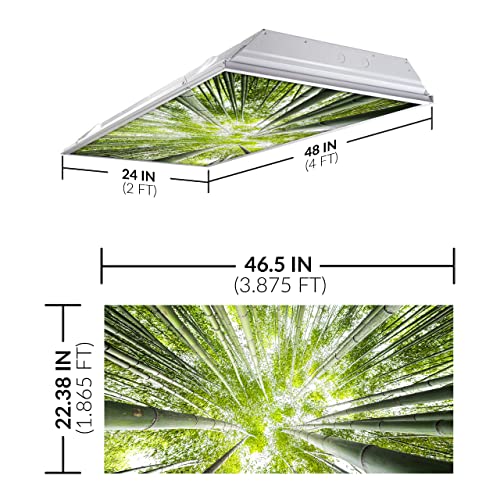 OCTO LIGHTS Tree Fluorescent Light Covers 2x4 Fixtures (22.38" x 46.5") Ceiling Light Cover for Classroom and Office, Decorative Light Covers for Ceiling Lights, Office Light Covers - (Pack of 1) - color: Bamboo Tree, size: 1pk