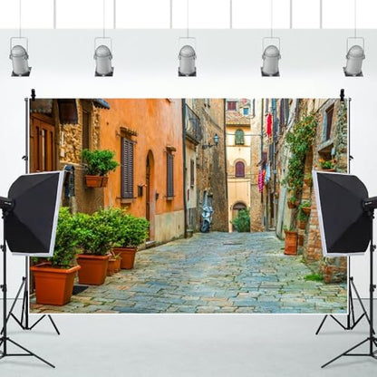Laeacco 12x8ft Italy Old Town Small Narrow Alley Street Landscape Backdrop European Building Green Vine Italian Style Backdrop Travel Theme Birthday Party Photo Studio Prop Festival Room Decoration - size: 12x8ft