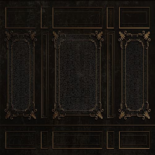 Kate 10×10ft Black Vintage Backdrop Photography Interior Abstract Background Photo Studio Props for Photographer Pictures Video - size: 10×10ft
