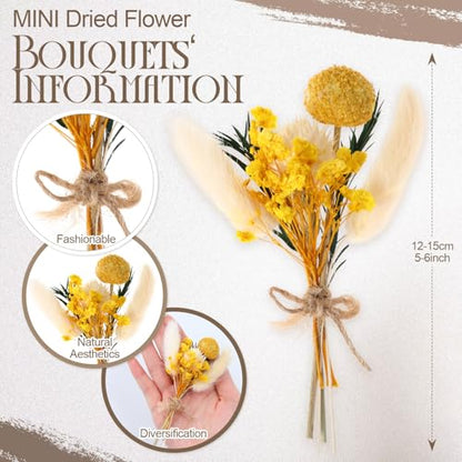Nuanchu 10 Pcs Mini Dried Flower Bouquet Mixed Natural Dried Flowers with Stem Boho Plant Stem Bunch for DIY Craft Card Home Party Photo Props Wedding Decor, 5 to 6 inches(Popular Styles) - style: Popular Styles