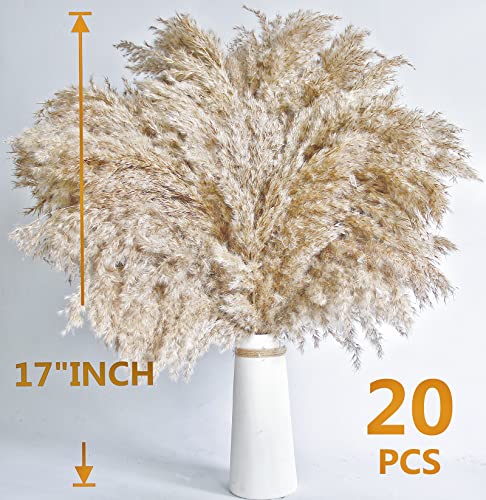 30 PCS Boho Decor, Fluffy Pompas Grass, Natural Dry Pampas Grass Small, Short Pampass Bulk for Boho Room, Coffee Table Decor (17 inch ) - size: 30PCS-Natural