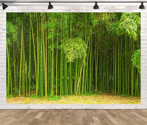 12x8ft Fabric Bamboo Forest Backdrop Park Green Bamboo Trees Forest Natural Texture Photography Background Natural Home Wallpaper Decor Photo Props - size: 12x8FT