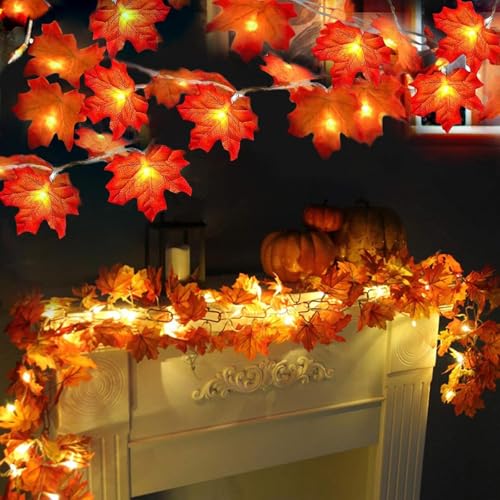 TURNMEON 2 Pack Fall Decor Enlarged Maples Leafed Lights Total 20Ft 40LED Fall Decorations for Home, Battery Operated Autumn Garland Waterproof Indoor Outdoor Holiday Halloween Thanksgiving Decoration - size: 2 Pack