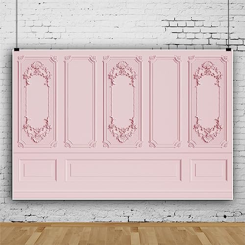 Leyiyi 5x3ft Light Pink Vintage Room Inside Backdrop European Frame Modern House French Castle Cementery Wall Retro Style Photo Background Cowboy Kids Birthday Vinyl Portrait Photo Studio Props - color: Pink, size: 5x3ft