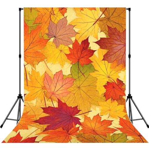 Autumn Leaves of Maple Backdrop Background for Photography 5x7ft Photobooth Professional Photo Backdrop Curtains Video Photography Studio Photo Backgrounds Banner Booth Background Screen Parties - color: Autumn Leaves Of Maple