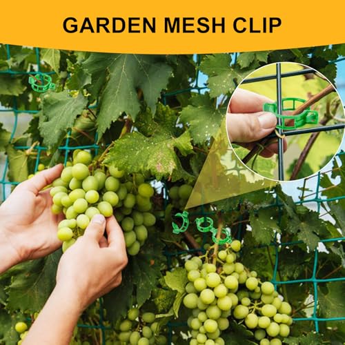 200Pcs Secured Plant Support Clips - Tomato Clips for String Trellis, Grape Vine Grid Clamp for Garden Netting Climbing Plants, Fixing Stem and Vine (Green) - color: 200pcs Green