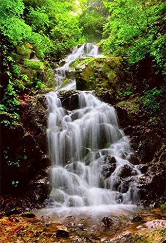Laeacco 3x5ft Waterfall backdrop Spring Forest Landscape Children Kids Baby Photography Backdrop Wedding Lover Valentine 1x1.5m Nature View River and Small Waterfall Scenery Background Studio Props