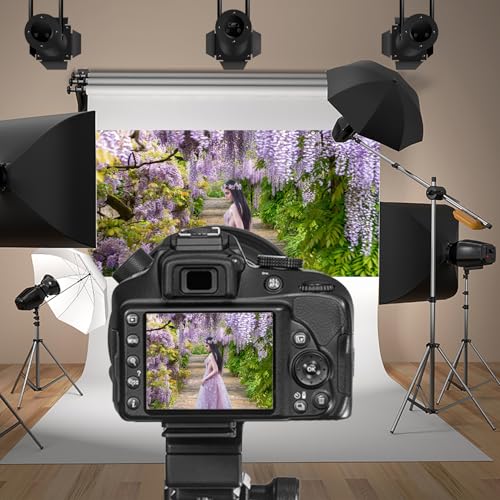 20x10ft Background for Purple Cirrus Pathway Photography Backdrop Purple Wisteria Violet Vine Wedding Ceremony Anniversary Honeymoon Birthday Children Adults Photo Studio Vinyl Props - size: 20x10ft