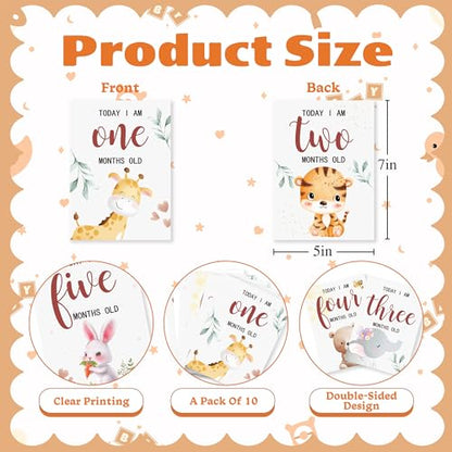 Baby Milestone Cards, 10pcs Double Sided Newborn Photo Prop, First Words, Haircut & More, First Year Monthly Milestone Cards, Jungle Safari Pregnancy Announcement Ideas Decor Supplies(04) - style: Jungle Safari