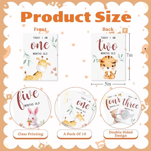Baby Milestone Cards, 10pcs Double Sided Newborn Photo Prop, First Words, Haircut & More, First Year Monthly Milestone Cards, Jungle Safari Pregnancy Announcement Ideas Decor Supplies(04) - style: Jungle Safari