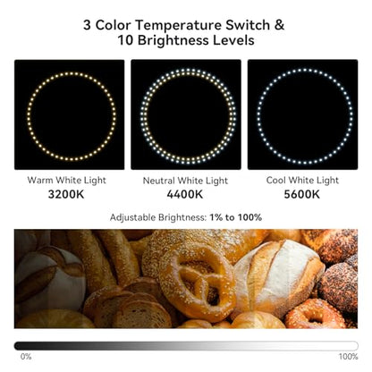 Photo Studio Light Box Photography, 12"x12"x12" Professional Dimmable Shooting Tent Kit with 120 LED Lights (CRI＞90), 6 Color Backdrops & 1 Diffuser for Jewelry and Small Items Product - size: 12inch