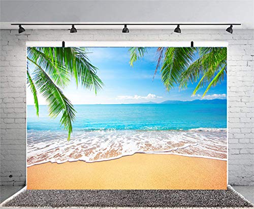 Sensfun 8x6ft Beach Photo Backdrop Tropical Palm Trees Blue Sky Sunshine Sea Beach Summer Vacation Photography Background for Wedding Birthday Themed Party YouTube Photo Booth Studio Props(WP127) - color: WP127, size: 8x6ft