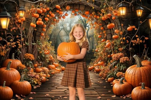 5 x 3 ft Autumn Backdrops Fall Stone Arch Leaves Pumpkin Leaf Path Scenery Photography Background Thanksgiving Yellow Flowers Seasonal Party Photo Studio Props - color: Yellow, size: 5x3ft