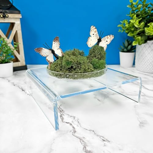 Plymor Clear Acrylic Short Square Display Riser, 2" H x 7" W x 7" D (1/4" thick) - size: 2" x 7" x 7"