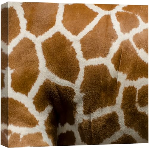 wall26 - Canvas Prints Wall Art - Canvas Prints Wall Art - Giraffe Fur/Skin Texture - 12"x12" - color: 02. Giraffe Pattern, size: 12"L x 12"W