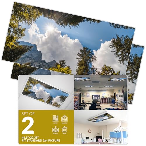 Fluorescent Light Cover for Classroom Ceiling Lights - Premium Backlit Film Insert 2x4 (22.38"x46.5") Florescent Fixture (Pack of 2) School, Office, Sensory, Improve Focus, Eliminate Headaches - Tree - color: Tree Mountain Sky, size: 2pk