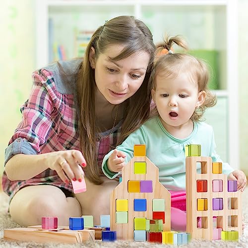 Woodtoe Wooden Building Blocks Set for Kids, 36 PCS Rainbow Acrylic Gem Blocks - 3 Wood House, Montessori Stacking Toy for Toddlers, Educational STEM Birthday Creative Toy Gift for Boys Girls 3-6 - style: 36 PCS Rainbow Blocks Set