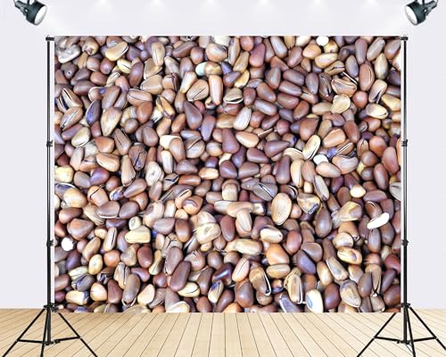 Trykid 5x3ft Pine Nuts Nutty Texture Background Backdrop Brown Nutty Seed Closeup Photography Background Food Cooking Kitchen Party Decoration Tapestry Photo Booth Prop Fabric Backdrop - size: 5x3ft