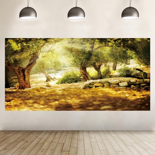 Leyiyi 20x10ft Natural Scenery Backdrop Olive Trees Sunshine Wonderland Dreamy Haze Blurred Background Stone Natural Forest Landscape Video Photo Studio Prop - size: 20x10ft-Vinyl