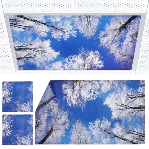Torixqi 2pcs Fluorescent Light Covers - Light Covers for Ceiling Lights Classroom, Magnetic Light Filters for Office, Hospitals, Home 4 x 2 Feet (winter) - color: winter