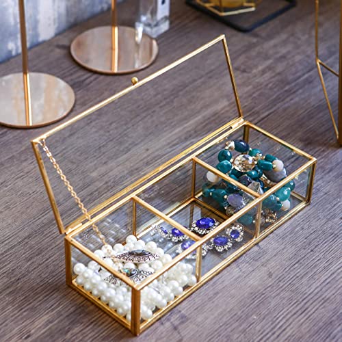 Vintage Golden Glass Lidded Box Clear Glass & Brass Metal Storage Jewelry and Cosmetic Makeup Organizer with Lid Beauty Display, Rectangle with 3 Compartment