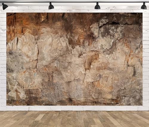 BELECO 10x10ft Fabric Archeology Cave Wall Backdrop Vintage Brown Stone Texture Rock Stone Wall Archeological Background for Party Decorations Photo Shoot tudio Props - size: 10x10FT